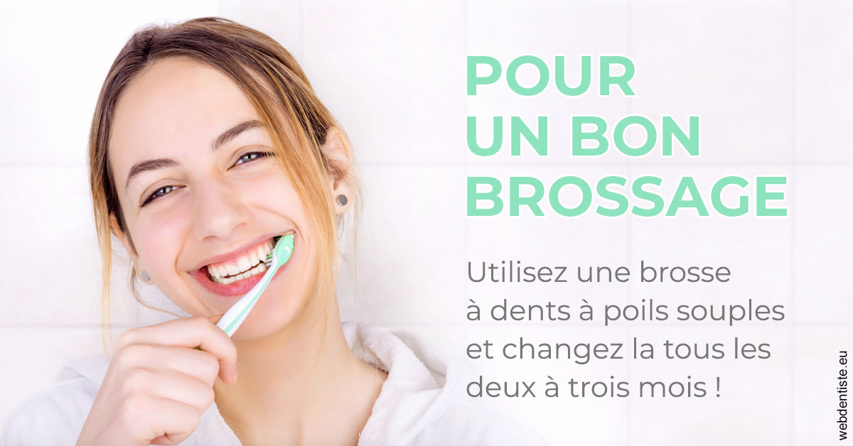 https://www.dentiste-de-chaumont.fr/Pour un bon brossage 2
