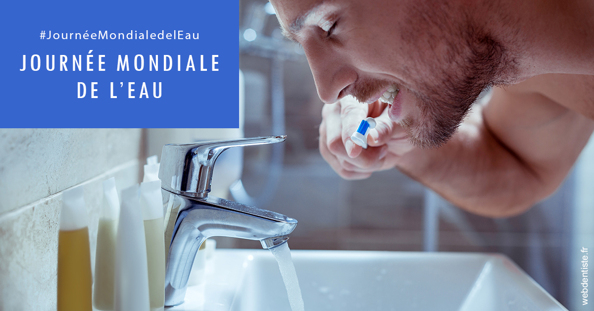 https://www.dentiste-de-chaumont.fr/Journée de l'eau 2