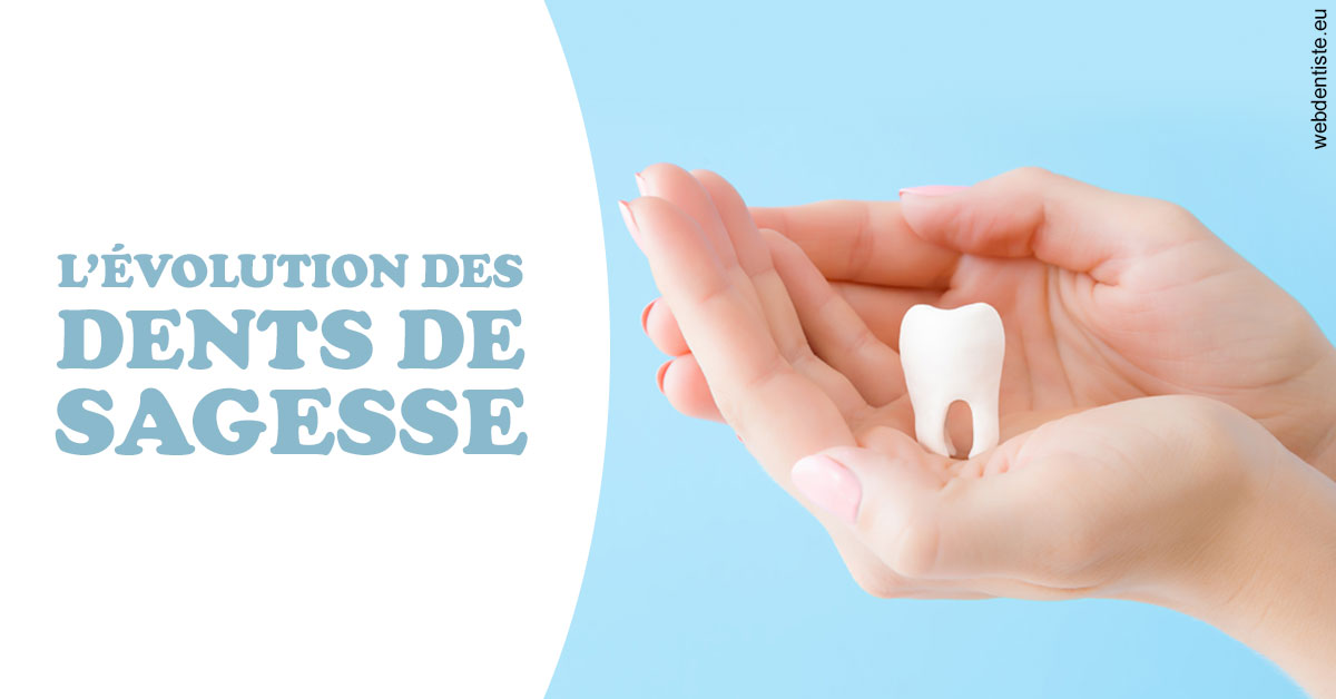 https://www.dentiste-de-chaumont.fr/Evolution dents de sagesse 1
