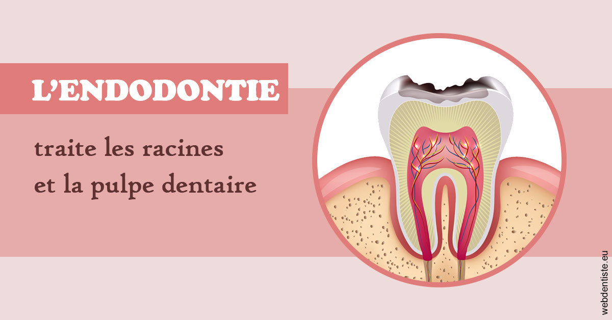 https://www.dentiste-de-chaumont.fr/L'endodontie 2