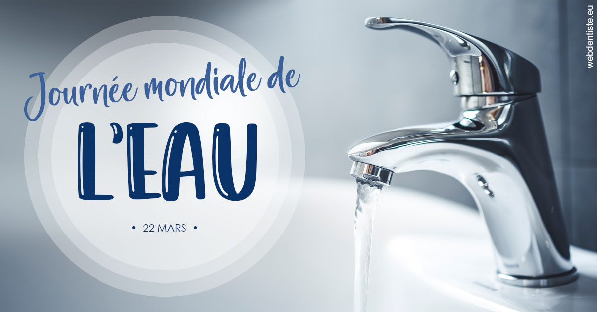 https://www.dentiste-de-chaumont.fr/La journée de l'eau 2
