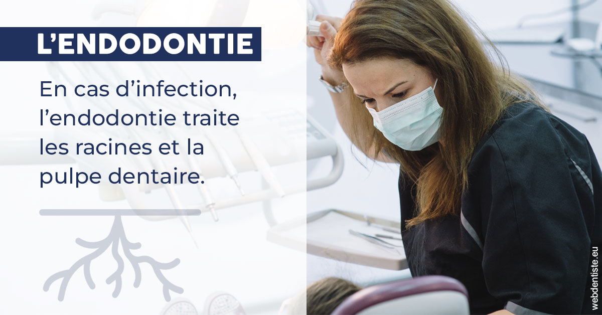 https://www.dentiste-de-chaumont.fr/L'endodontie 1