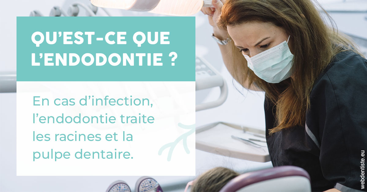 https://www.dentiste-de-chaumont.fr/2024 T1 - Endodontie 01