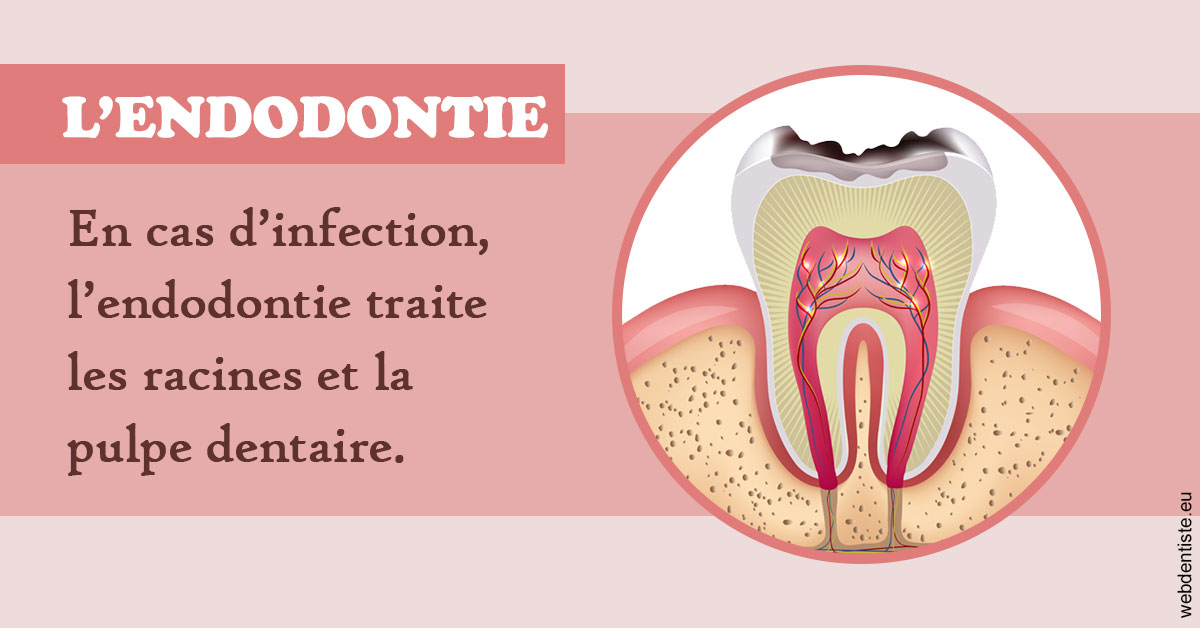 https://www.dentiste-de-chaumont.fr/L'endodontie 2